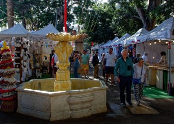 Tenerife winter holidaymakers warned over issue that’s ‘getting worse’ | Travel News | Travel