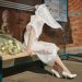 38 Best Wedding Shoes Perfect for Your Walk Down the Aisle