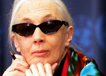 A 71-Year-Old Jane Goodall on Her Fight to Save the Planet