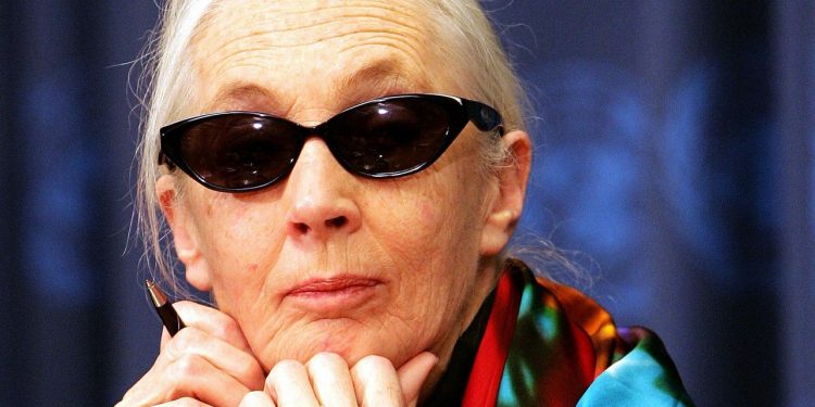 A 71-Year-Old Jane Goodall on Her Fight to Save the Planet