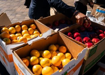 How to Help People Losing Their SNAP Benefits