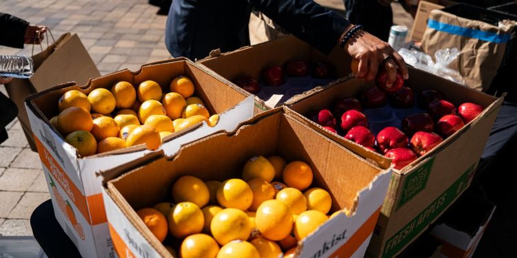 How to Help People Losing Their SNAP Benefits