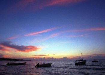 5 Ways to Help Those Affected by Hurricane Melissa