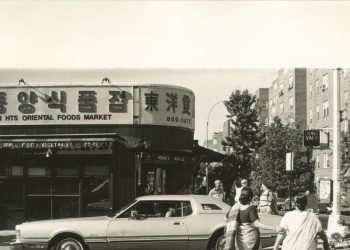 How the Sari Came To Define New York