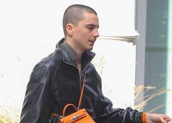 Timothée Chalamet Rocks a Mini Purse in New York