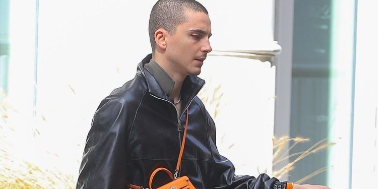 Timothée Chalamet Rocks a Mini Purse in New York