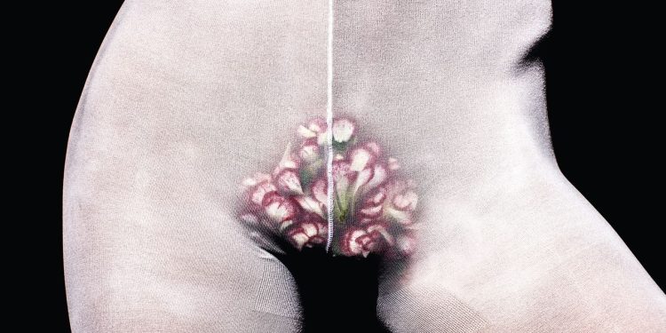 The Bush Is Back in 2025—Just Ask Skims