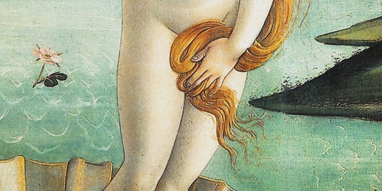 Could a Merkin Actually Be the New Birkin?