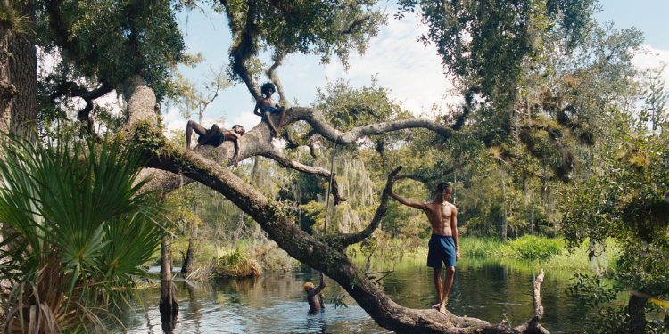 “Florida Boys” by Josh Aronson