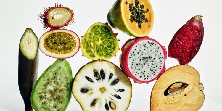 Exactly What Is Fibermaxxing, The New Nutrition Obsession?