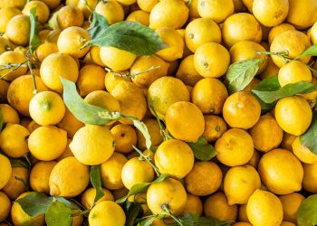 7 Benefits of Lemon Water, Explained by the Experts