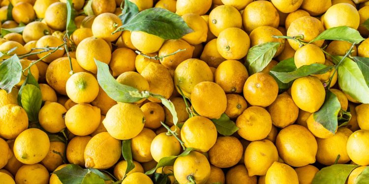 7 Benefits of Lemon Water, Explained by the Experts