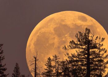 Here’s How the November Supermoon Will Affect Every Zodiac Sign