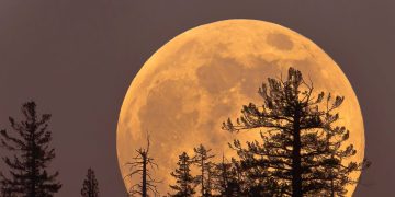 Here’s How the November Supermoon Will Affect Every Zodiac Sign