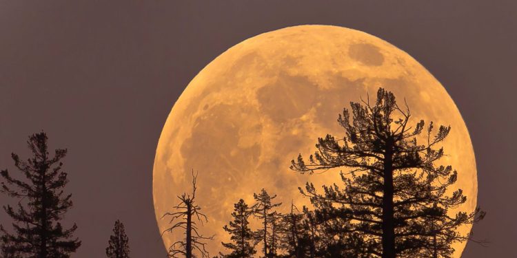 Here’s How the November Supermoon Will Affect Every Zodiac Sign