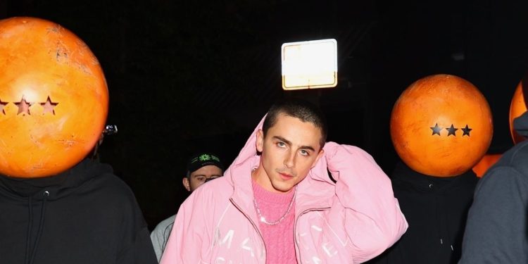 Timothée Chalamet Debuts One of Dior’s More Divisive Shoes