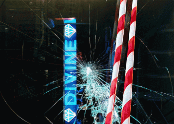 Decolonising Every Day: A Calendar Zine by Carmen Daneshmandi